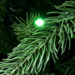 Christmas Tree World The 10Ft/300Cm Ultra Devonshire Fir Pre-Lit With Warm White/multicoloured Colour Change Leds - thumbnail 7