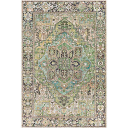Livabliss Iris-Vintage Green Blue Beige Traditional Boho Living Dining Bedroom Rug 107 X 168 Cm Easy Care, Non Shedding - thumbnail 1