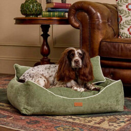 Joules Gilmorton Apple Dog Sofa - thumbnail 4
