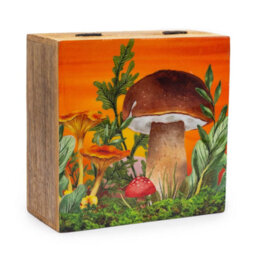 Big Square Storage Box 15X17.5X8Cm - Mushroom & Teal Design