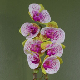 Leaf Artificial 46Cm Orchid Harlequin Pink With Silver Pot - thumbnail 2