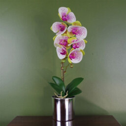 Leaf Artificial 46Cm Orchid Harlequin Pink With Silver Pot - thumbnail 1