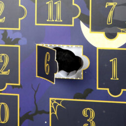 Shelf Of Shadows 12-Day Halloween Advent Calendar With Spooky Ornaments - thumbnail 3