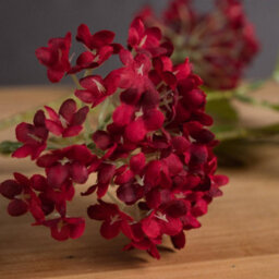 Wyld Haus Set Of 3 Red Autumnal Viburnum Stems Artificial Flower Stems - thumbnail 5