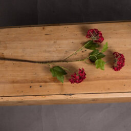 Wyld Haus Set Of 3 Red Autumnal Viburnum Stems Artificial Flower Stems - thumbnail 3