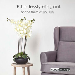 Homescapes Artificial Cream Handcrafted Large Oriental Style Orchids In Black Bowl, 79 X 40 Cm - thumbnail 6