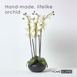 Homescapes Artificial Cream Handcrafted Large Oriental Style Orchids In Black Bowl, 79 X 40 Cm - thumbnail 2