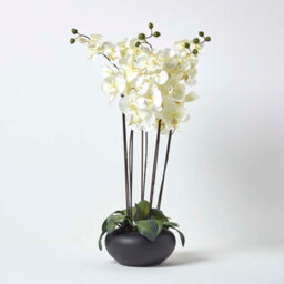 Homescapes Artificial Cream Handcrafted Large Oriental Style Orchids In Black Bowl, 79 X 40 Cm