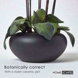 Homescapes Artificial Cream Handcrafted Large Oriental Style Orchids In Black Bowl, 79 X 40 Cm - thumbnail 4