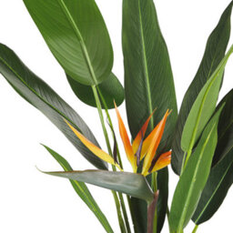 Beliani Strelitzia Artificial Tree 115Cm Green Black - Low Maintenance, Ready To Display - thumbnail 3