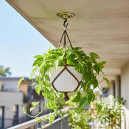 Vintage Green Brass Ceiling Rose With Hook 75mm Round Metal Light Fitting Canopy Plate For Pendant Lights And Hanging Lamps - thumbnail 5