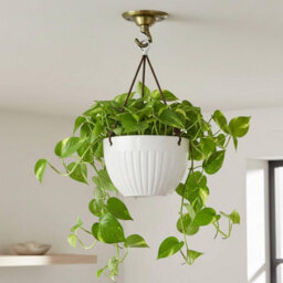 Vintage Green Brass Ceiling Rose With Hook 75mm Round Metal Light Fitting Canopy Plate For Pendant Lights And Hanging Lamps - thumbnail 4