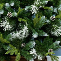 Christmas Tree World The 8Ft/240Cm Snowy Scots Pine Christmas Tree - thumbnail 7