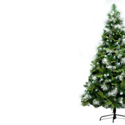 Christmas Tree World The 8Ft/240Cm Snowy Scots Pine Christmas Tree - thumbnail 3