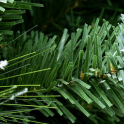 Christmas Tree World The 8Ft/240Cm Snowy Scots Pine Christmas Tree - thumbnail 4