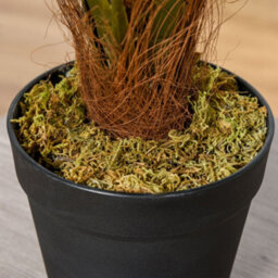 Outsunny 60Cm/2Ft Artificial Palm Tree Fake Plant In Pot Indoor Décor - thumbnail 8