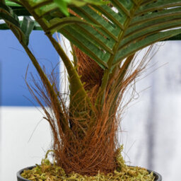 Outsunny 60Cm/2Ft Artificial Palm Tree Fake Plant In Pot Indoor Décor - thumbnail 9