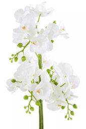 Orsina Fiori White Orchid Plant In Rectangular Pot Artificial Plant Foliage - thumbnail 8