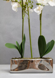 Orsina Fiori White Orchid Plant In Rectangular Pot Artificial Plant Foliage - thumbnail 7