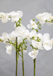 Orsina Fiori White Orchid Plant In Rectangular Pot Artificial Plant Foliage - thumbnail 6