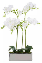 Orsina Fiori White Orchid Plant In Rectangular Pot Artificial Plant Foliage