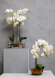 Orsina Fiori White Orchid Plant In Rectangular Pot Artificial Plant Foliage - thumbnail 4