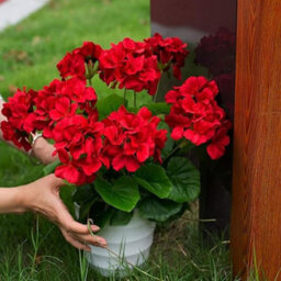 2 Pack Artificial Geranium Flowers For Outdoor Use - Red - Artificial The Home And Kitchen - thumbnail 3