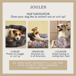 Rosewood Joules Festival Floral Sofa Dog Bed - thumbnail 6
