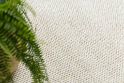 RugsX Carpet Casablanca Loom Cream, Loop, Soft Indoor & Outdoor 300X400 Cm - thumbnail 5