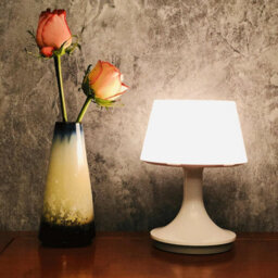 White Table Lamp With Remote - Usb Rechargeable Portable Cordless Light With 10 Brightness Modes - H17.5 X 13.5Cm Diameter - thumbnail 2