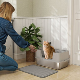 Pawhut Stainless Steel Litter Box With Scoop, High Sided Cat Litter Tray