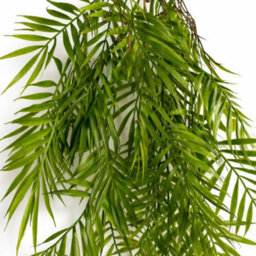 Leaf Pack Of 6 X 90Cm Artificial Trailing Palm Fern Plant Hanging Faux Tropical Greenery - thumbnail 3