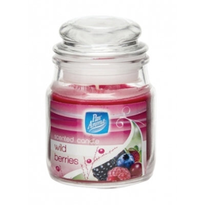 151 Pan Aroma Small Jar Candle With Lid - Wild Berries
