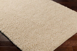 Livabliss Moda Shaggy-Solid Color Beige Plush Soft Pile Living Bedroom Rug 200 X 275 Cm Easy Care, Non Shedding - thumbnail 6