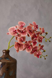 Orsina Pink Orchid Spray - 100Cm, Graceful Faux Orchid Stem With Delicate Pink Blooms, Adds Height And Elegance - thumbnail 5