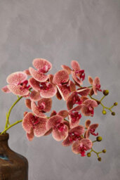 Orsina Pink Orchid Spray - 100Cm, Graceful Faux Orchid Stem With Delicate Pink Blooms, Adds Height And Elegance - thumbnail 7