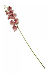 Orsina Pink Orchid Spray - 100Cm, Graceful Faux Orchid Stem With Delicate Pink Blooms, Adds Height And Elegance - thumbnail 2