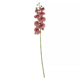 Orsina Pink Orchid Spray - 100Cm, Graceful Faux Orchid Stem With Delicate Pink Blooms, Adds Height And Elegance - thumbnail 1