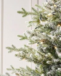 WeRChristmas 8Ft Pre Lit Snow Flocked Fraser Fir Christmas Tree With 650 Candle Style Leds And 8 Light Functions - thumbnail 3