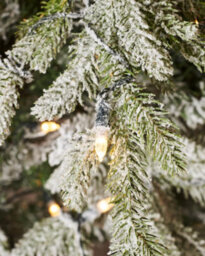 WeRChristmas 8Ft Pre Lit Snow Flocked Fraser Fir Christmas Tree With 650 Candle Style Leds And 8 Light Functions - thumbnail 4