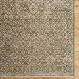 Livabliss Galey Alix Myrtle Avenue-Vintage Brown Green Grey Traditional Boho Fringe Living Dining Bedroom Rug 120 X 170 Cm Easy Care - thumbnail 5