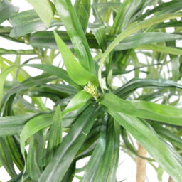 100Cm Artificial Dracaena House Plant Potted Realistic Indoor Tree Green - thumbnail 3