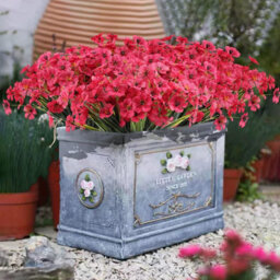 2 Pack Artificial Violets, Artificial Flowers, Outdoor Uv Protection, Indoor Decoration, Red Rose - thumbnail 3