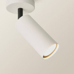 Valuelights Taylor Matte Beige Tube Single Adjustable Ceiling Spotlight And Bulb - thumbnail 3