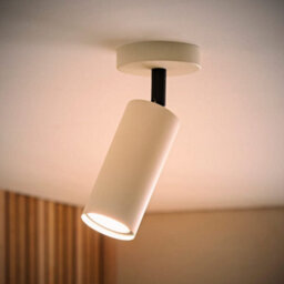 Valuelights Taylor Matte Beige Tube Single Adjustable Ceiling Spotlight And Bulb