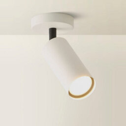 Valuelights Taylor Matte Beige Tube Single Adjustable Ceiling Spotlight And Bulb - thumbnail 6
