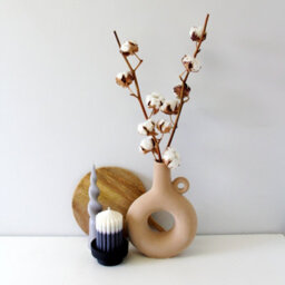 Carbeth Plants 4 X Natural Dried Cotton Stems - Approx. 60Cm In Height - Dried Flowers - Ideal For Home Décor - Flower Arranging