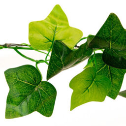 Gardenwize 2 Metre 20 Led Solar Powered Outdoor Ivy Leaf String Lights Fence Wall Decking Patio Decorative Lights - thumbnail 3
