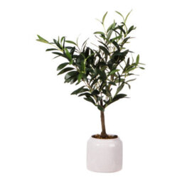 Green 58Cm Olive Artificial Plant In Cream Speckled Ceramic Pot