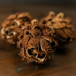 Bouquet                  Of                  Dried                  Protea - thumbnail 3